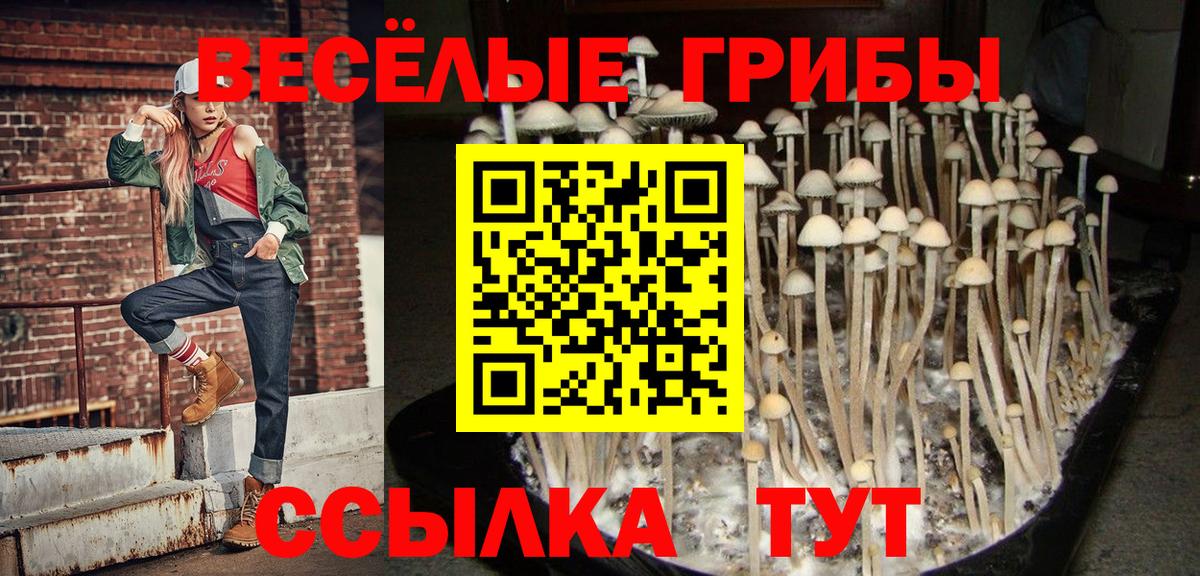 Галлюциногенные грибы ЛСД  где купить наркоту  Галлюциногенные грибы прущие грибы  Азов  Вход с VPN 